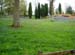 BlueBells2