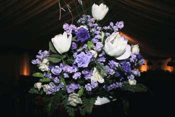 282Flowers