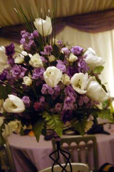282flowers