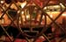 202Shul