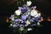 282Flowers